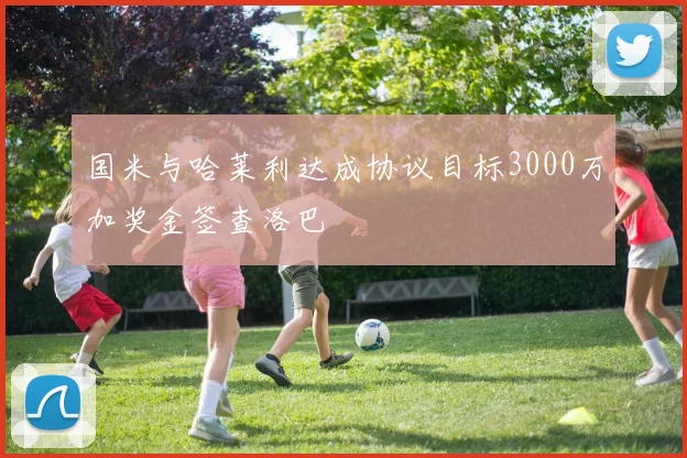 国米与哈莱利达成协议目标3000万加奖金签查洛巴